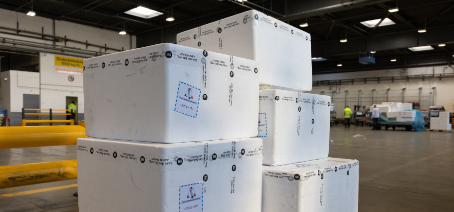 Winter-proof Pharma logistics: At Swiss WorldCargo we keep it cool